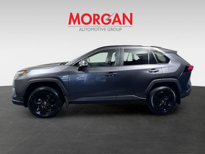 2025 Toyota RAV4 - Photo 6