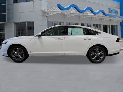 2026 Honda Accord Hybrid — side profile view