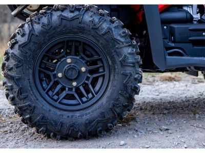 2026 Honda FourTrax Rubicon 700 4x4 Automatic - Photo 17