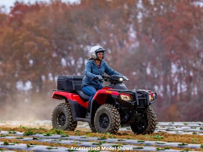 2026 Honda FourTrax Rubicon 700 4x4 Automatic - Photo 25