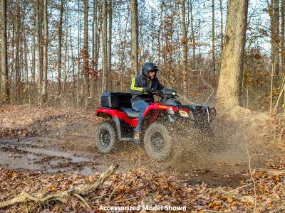 2026 Honda FourTrax Rubicon 700 4x4 Automatic - Photo 21