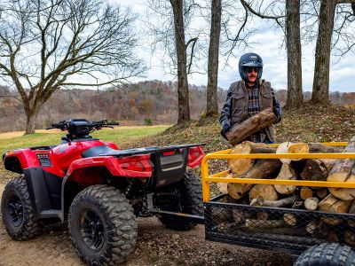 2026 Honda FourTrax Rubicon 700 4x4 Automatic - Photo 22