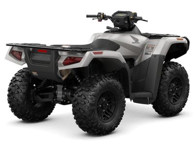 2026 Honda FourTrax Rubicon 700 4x4 Automatic - Photo 12