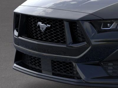 2025 Ford Mustang - Photo 29