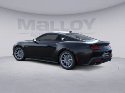 2025 Ford Mustang - Photo 7