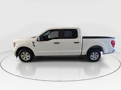2023 Ford F-150 — interior view