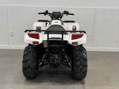 2025 Kawasaki Brute Force 450 4x4 - Photo 10
