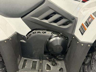 2025 Kawasaki Brute Force 450 4x4 - Photo 19