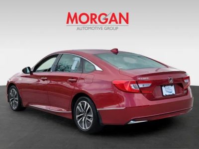 2019 Honda Accord Hybrid — interior view