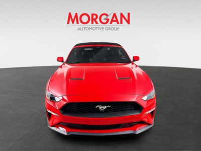 2023 Ford Mustang - Photo 3
