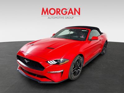 2023 Ford Mustang - Photo 2