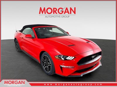 2023 Ford Mustang - Photo 1
