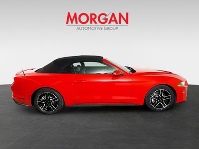 2023 Ford Mustang - Photo 4