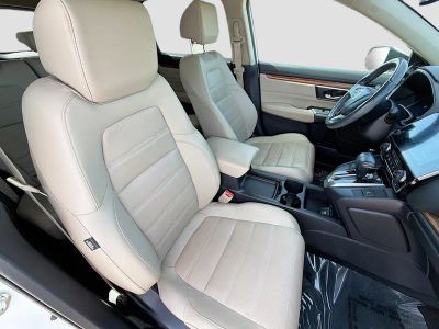 2019 Honda CR-V — photo 15 view