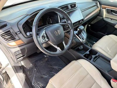 2019 Honda CR-V — photo 26 view