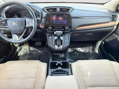 2019 Honda CR-V — photo 19 view