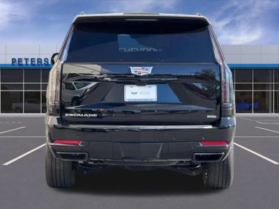 2025 Cadillac Escalade — detail view