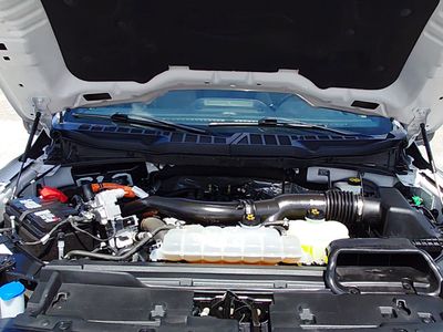 2024 Ford F-150 — photo 9 view