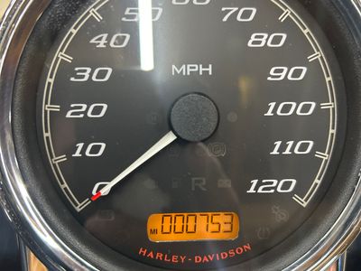 2021 Harley-Davidson Freewheeler - Photo 8