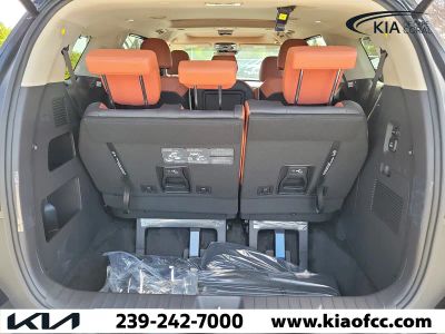 2026 Kia Carnival Hybrid — photo 11 view