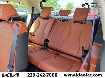 2026 Kia Carnival Hybrid — photo 14 view