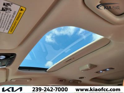 2026 Kia Carnival Hybrid — photo 24 view