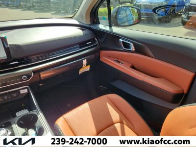 2026 Kia Carnival Hybrid — photo 21 view