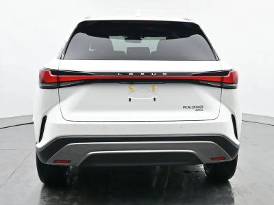 2026 Lexus RX - Photo 4