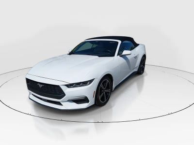 2024 Ford Mustang - Photo 3
