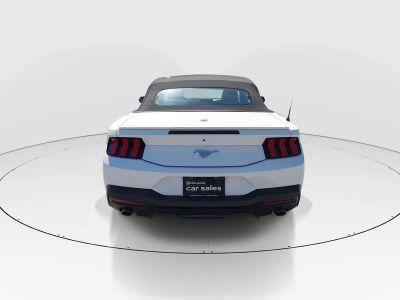 2024 Ford Mustang - Photo 6