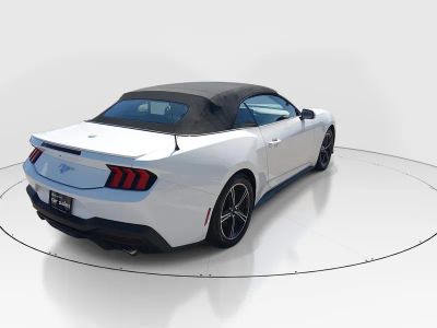 2024 Ford Mustang - Photo 7