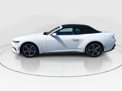 2024 Ford Mustang - Photo 4