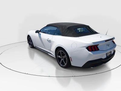 2024 Ford Mustang - Photo 5