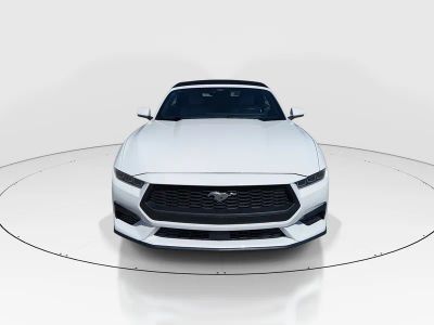 2024 Ford Mustang - Photo 2