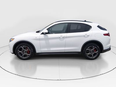 2022 Alfa Romeo Stelvio - Photo 4