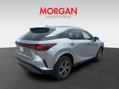 2024 Lexus RX — detail view