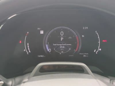 2024 Lexus RX — photo 30 view