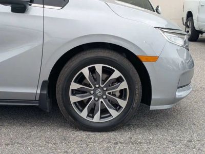 2024 Honda Odyssey — photo 11 view
