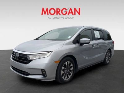 2024 Honda Odyssey — photo 7 view