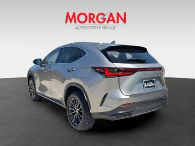2024 Lexus NX — detail view