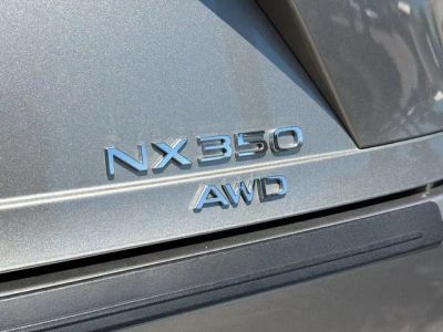 2024 Lexus NX — photo 11 view