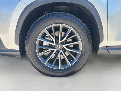 2024 Lexus NX — photo 42 view