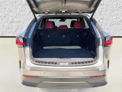 2024 Lexus NX — photo 12 view