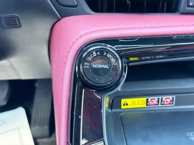 2024 Lexus NX — photo 29 view