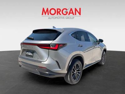 2024 Lexus NX — rear three-quarter view