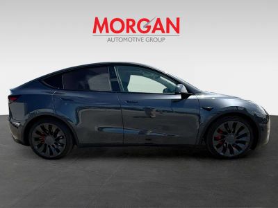 2025 Tesla Model Y — side profile view