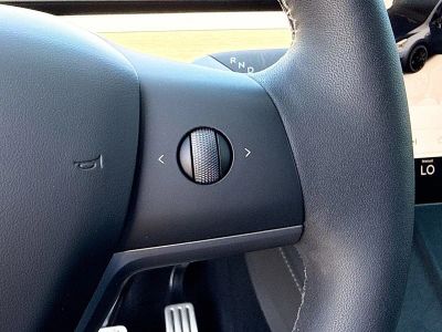 2025 Tesla Model Y — photo 37 view