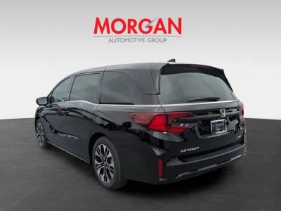 2026 Honda Odyssey — detail view