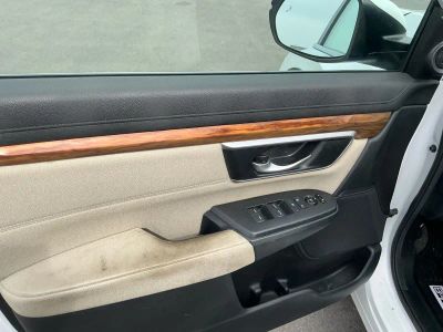 2019 Honda CR-V — photo 15 view