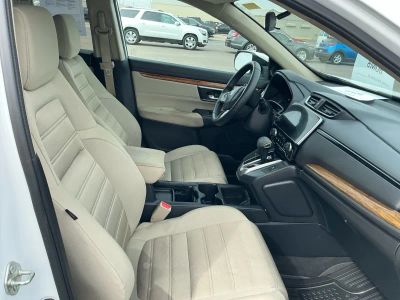 2019 Honda CR-V — photo 20 view